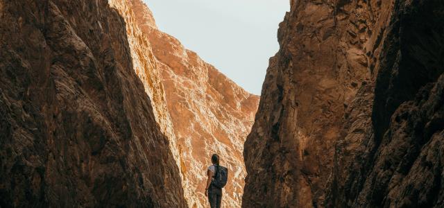a person standing on a rock in a canyon by NEOM courtesy of Unsplash.